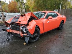 Dodge Challenger salvage cars for sale: 2017 Dodge Challenger SXT