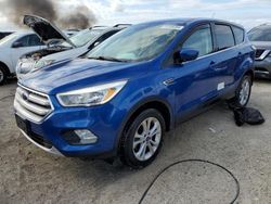 Ford Escape salvage cars for sale: 2017 Ford Escape SE