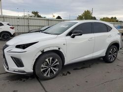 Lexus nx 300 f s salvage cars for sale: 2020 Lexus NX 300 F Sport