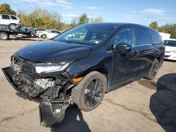 Honda Odyssey sp salvage cars for sale: 2024 Honda Odyssey Sport