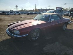 Jaguar Vehiculos salvage en venta: 1993 Jaguar XJS