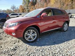 Lexus rx450 salvage cars for sale: 2010 Lexus RX 450H