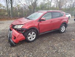 Toyota rav4 salvage cars for sale: 2014 Toyota Rav4 XLE