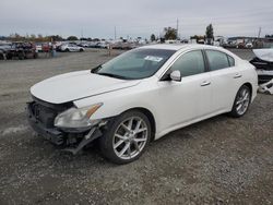 Nissan Maxima salvage cars for sale: 2009 Nissan Maxima S