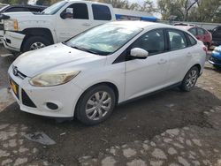 Ford Focus salvage cars for sale: 2013 Ford Focus SE