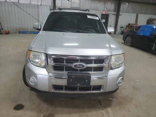 2010 Ford Escape Limited