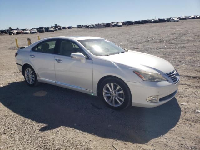 2010 Lexus ES 350