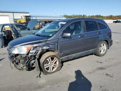 Honda crv salvage cars for sale: 2010 Honda CR-V EXL