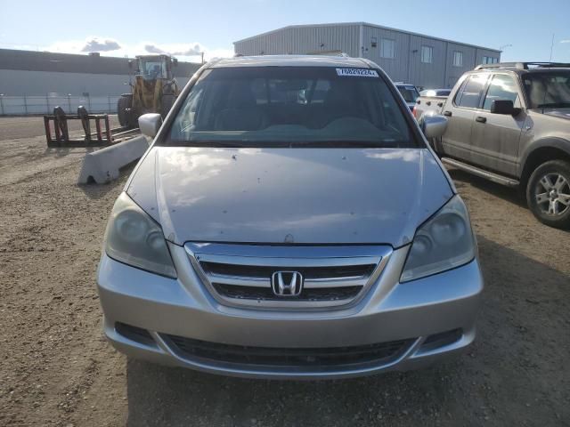 2005 Honda Odyssey EXL