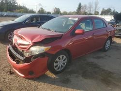 Vehiculos salvage en venta de Copart Ontario Auction, ON: 2011 Toyota Corolla Base