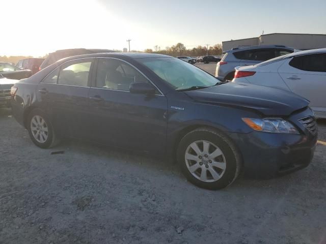 2008 Toyota Camry Hybrid