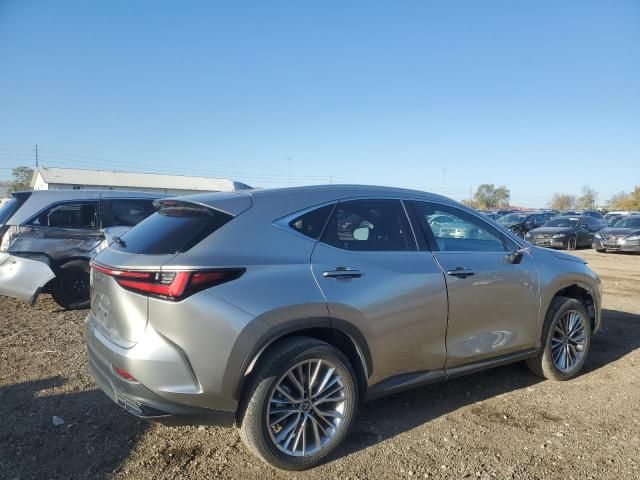 2022 Lexus NX 350