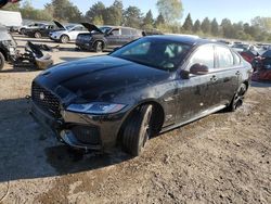 Jaguar salvage cars for sale: 2024 Jaguar XF R-DYNAMIC SE