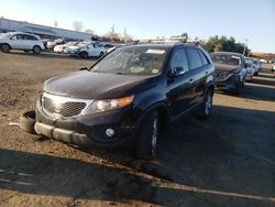 KIA salvage cars for sale: 2013 KIA Sorento EX