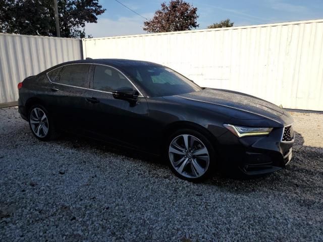 2021 Acura TLX Advance