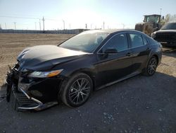 Toyota Camry salvage cars for sale: 2024 Toyota Camry XLE