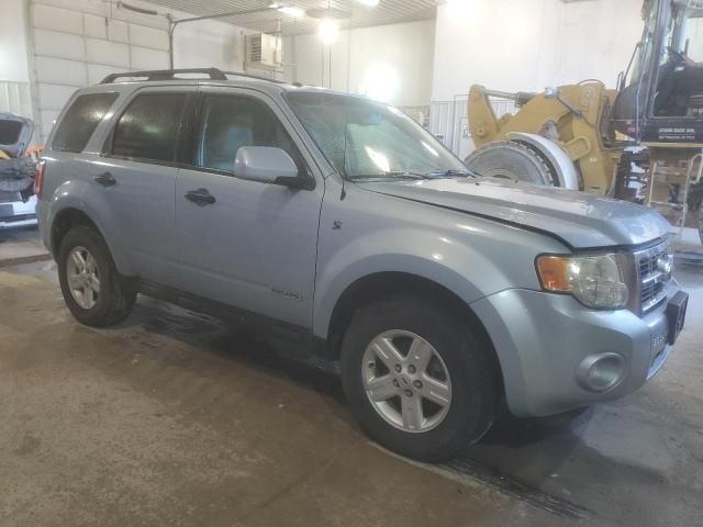 2008 Ford Escape HEV