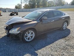 Nissan Maxima salvage cars for sale: 2013 Nissan Maxima S