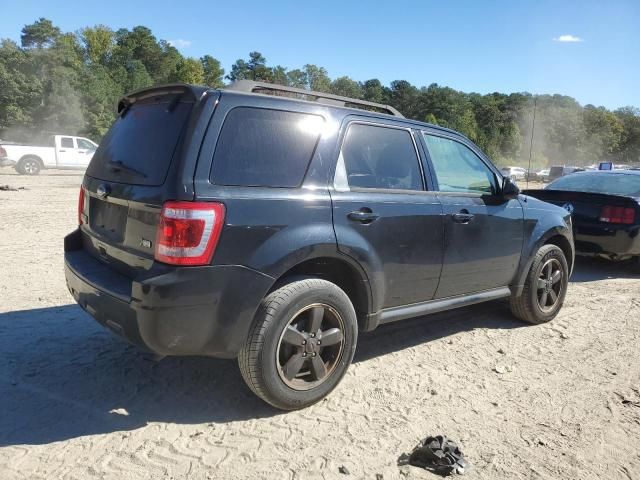 2010 Ford Escape XLT