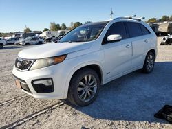 KIA salvage cars for sale: 2011 KIA Sorento SX