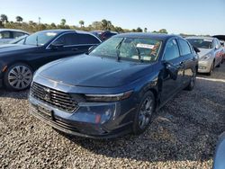 Honda Accord ex salvage cars for sale: 2024 Honda Accord EX