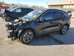 Ford salvage cars for sale: 2020 Ford Escape SEL