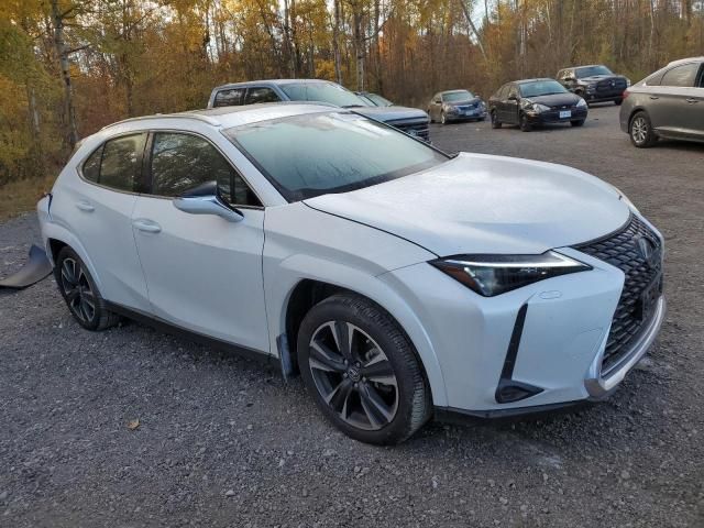 2024 Lexus UX 250H Premium