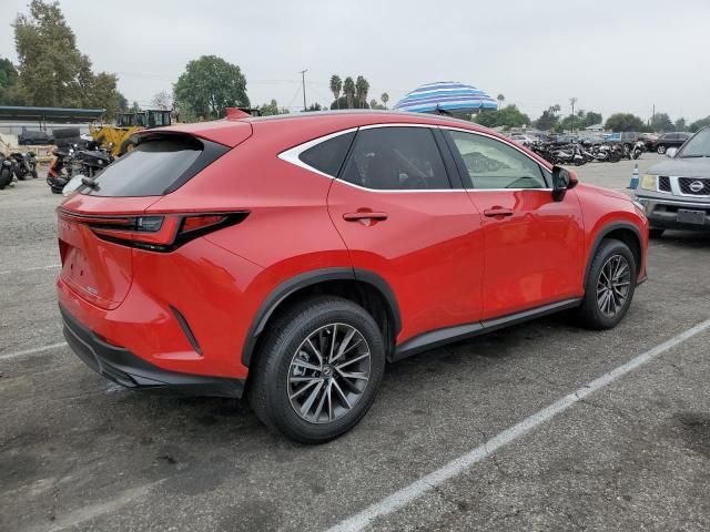 2024 Lexus NX 250 Base