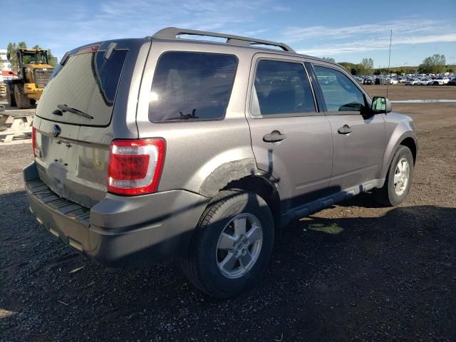 2012 Ford Escape XLT