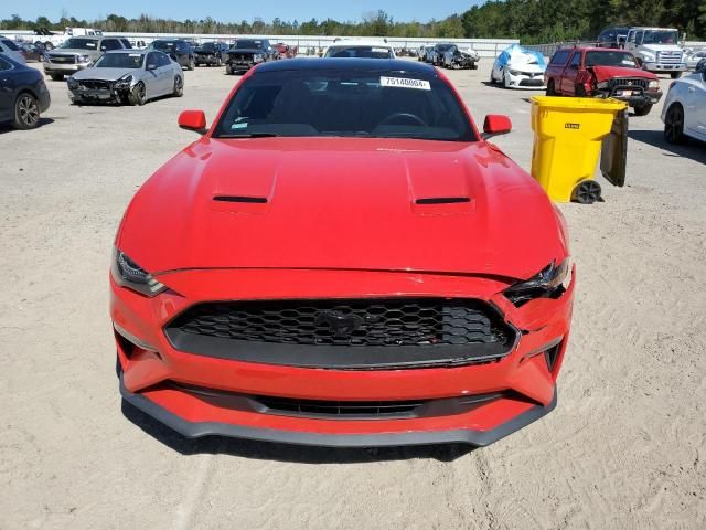 2019 Ford Mustang