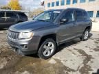 2011 Jeep Compass Sport