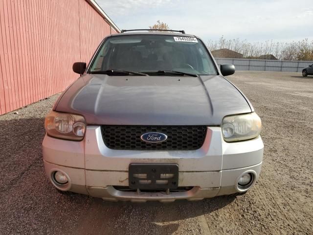 2007 Ford Escape XLT