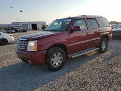 Cadillac salvage cars for sale: 2005 Cadillac Escalade Luxury