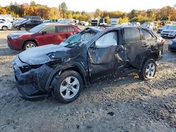 Toyota rav4 salvage cars for sale: 2019 Toyota Rav4 XLE