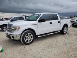 Ford salvage cars for sale: 2014 Ford F150 Supercrew