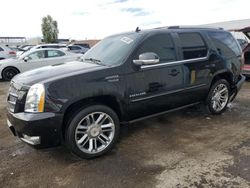 Cadillac salvage cars for sale: 2014 Cadillac Escalade Premium