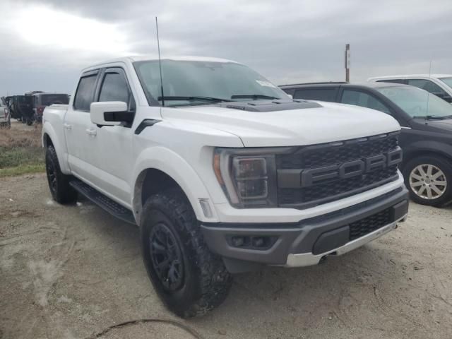 2023 Ford F150 Raptor