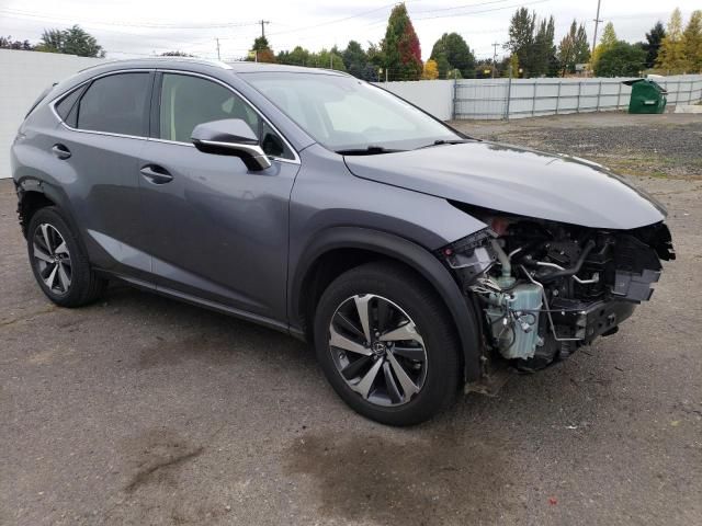 2019 Lexus NX 300 Base