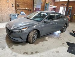 Hyundai salvage cars for sale: 2023 Hyundai Elantra SEL