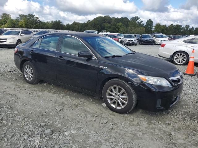 2010 Toyota Camry Hybrid