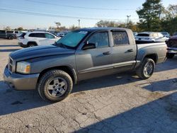 Dodge Dakota salvage cars for sale: 2006 Dodge Dakota Quad SLT