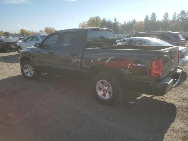 2010 Dodge Dakota SXT