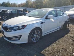 KIA Optima salvage cars for sale: 2013 KIA Optima SX