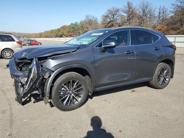 2024 Lexus NX 250 Base