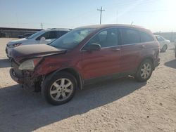 Salvage cars for sale from Copart Andrews, TX: 2009 Honda CR-V EX