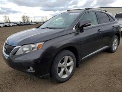 Lexus salvage cars for sale: 2010 Lexus RX 350