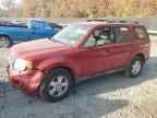 2010 Ford Escape XLS