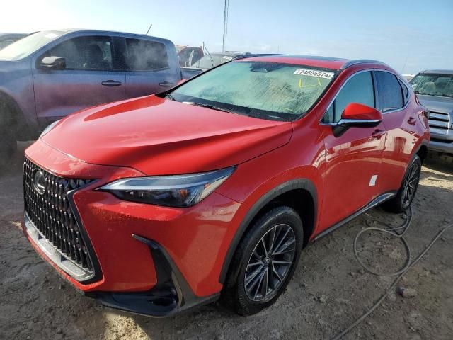 2024 Lexus NX 250 Premium