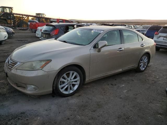 2011 Lexus ES 350