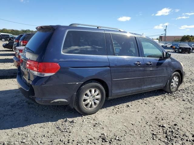 2008 Honda Odyssey EXL